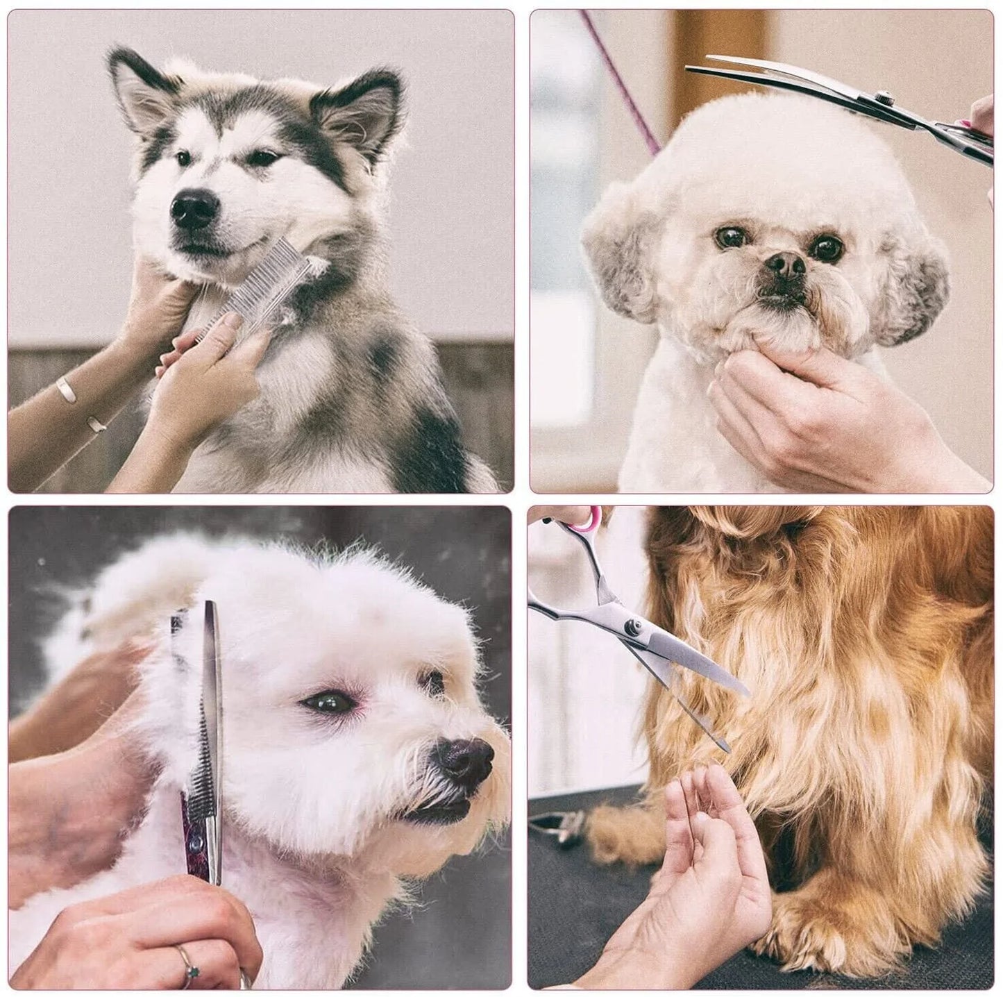 FurPerfect Grooming Scissors Set