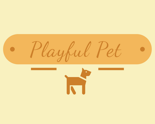 Playful Pet