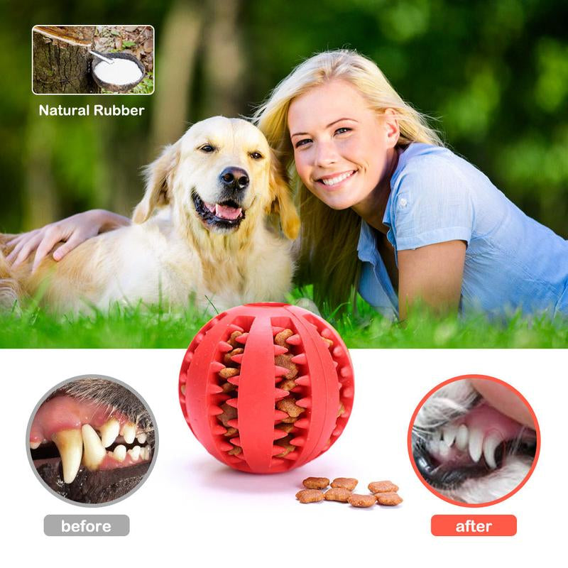 Chew-tastic Toothbrush Ball: The Fetching Dental Delight for Pooches!