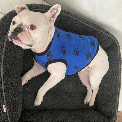 Snuggly Pooch Pajama Party Suit: USA-Made Fleece for Fashionable Furballs!