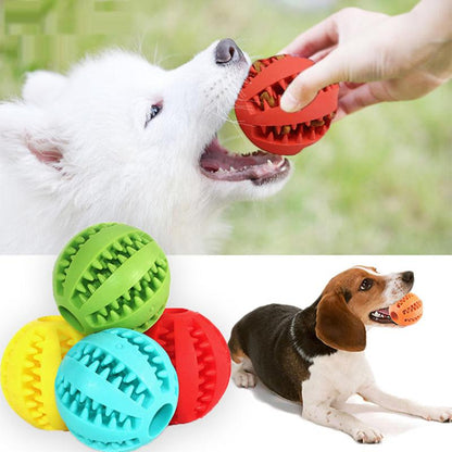 Chew-tastic Toothbrush Ball: The Fetching Dental Delight for Pooches!