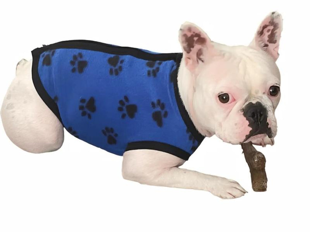 Snuggly Pooch Pajama Party Suit: USA-Made Fleece for Fashionable Furballs!